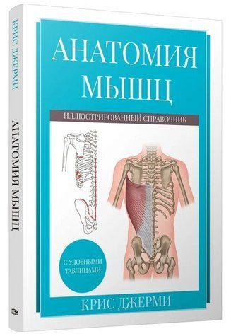Книга "Анатомия мышц. Иллюстрированный справочник" - Джерми К. (Твердый переплет) DGN11595 фото
