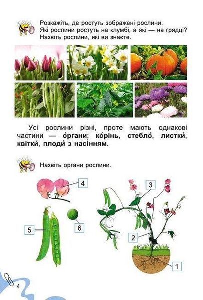 "Я исследую мир. Учебник. 1 класс. 2 часть" &ndash; Гильберг Т., Тарнавская С., Павич Н. (Твердый переплет) GENEZA0030 фото