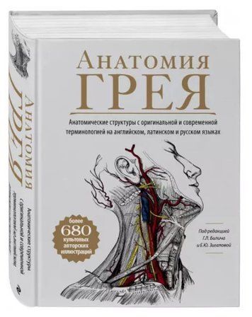 Книга "Анатомія Грея" - Біліч Г. (Тверда обкладинка) DGN08241 фото