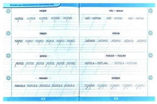 Учимся читать. Предложения - Фисина Анастасия TOR0001 фото
