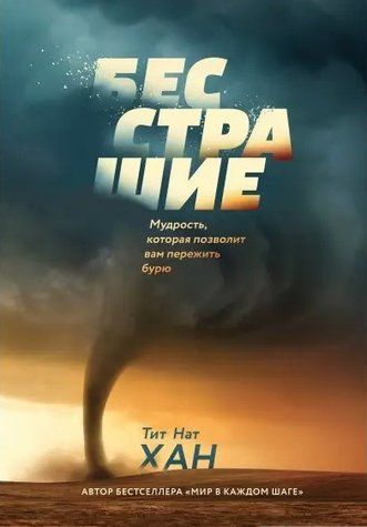 Книга "Безстрашність. Мудрість, яка дозволить вам пережити бурю" - Мюррей Л. (Тверда обкладинка) DGN01568 фото