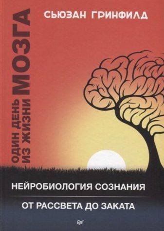 Книга "Один день из жизни мозга" - Гринфилд Д. (Твердый переплет) DGN02317 фото
