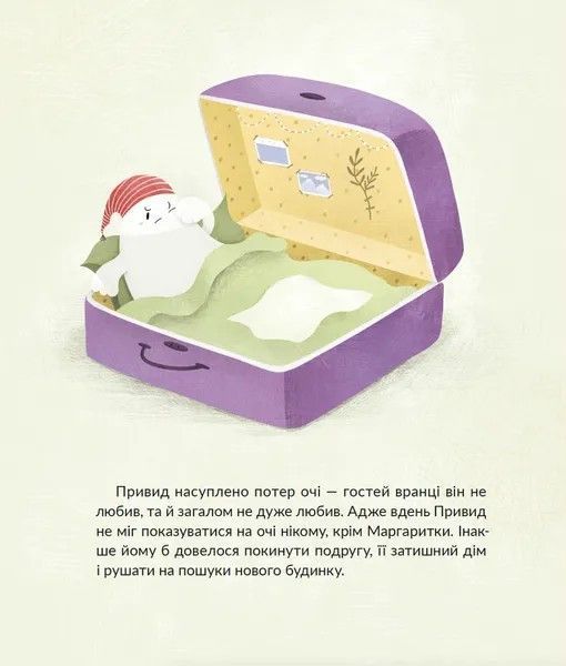 Книга "Привид, який спить у валізі" - Малетич Н. (Тверда обкладинка, українською мовою) VSL00001 фото