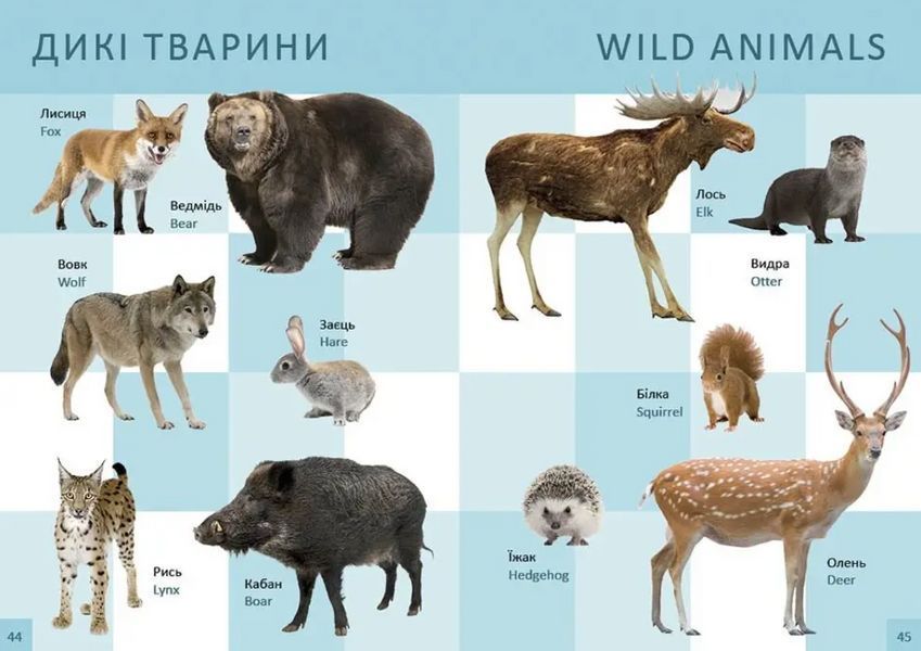 Книга "Перша книга малюка/Baby's first book" - Гуменна Л. (Тверда обкладинка, українською мовою) TALA0032 фото