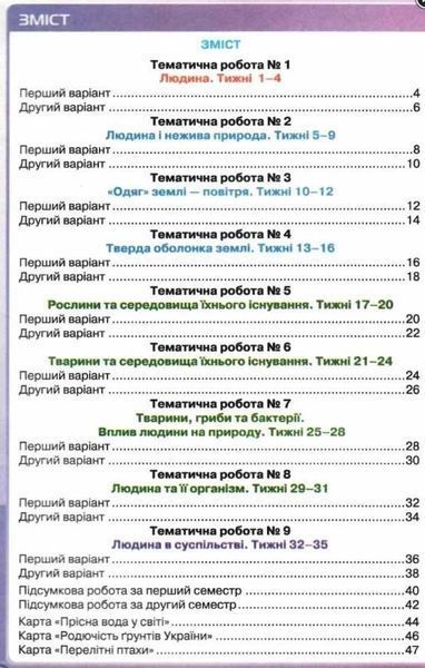 Мои достижения. Я исследую мир 3 класс НУШ - Грущинская И.В. ORIO0002 фото